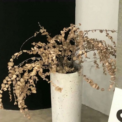 Furry插画色彩解析Furry群